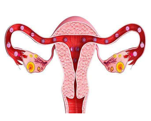 江苏十大三代代生费用是多少医院排名预约流程