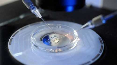 代生儿子电话,(介绍给大家)成都子宫什么情况不能做试管婴儿