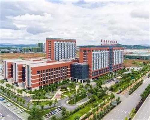 去海外代孕,试管婴儿精子和卵子配成率有多高