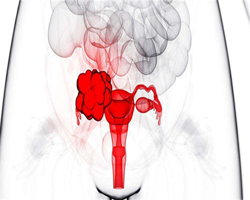 试管代生包儿子的医院,卵巢功能检查方法