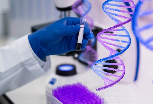 
              代生中心中第六天的eb早期囊胚移植后成功率有多高？
            