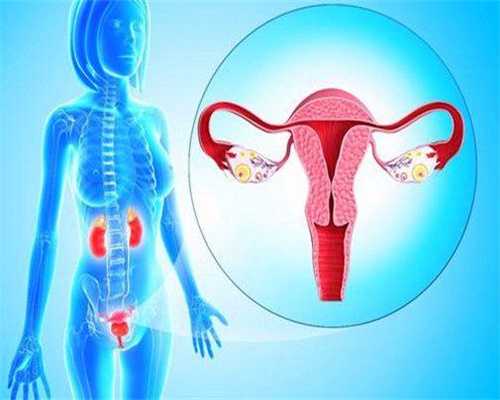 甘肃借卵子代生移植冷冻胚胎后期费用？甘肃借卵子代生冷冻胚胎移植成功率多