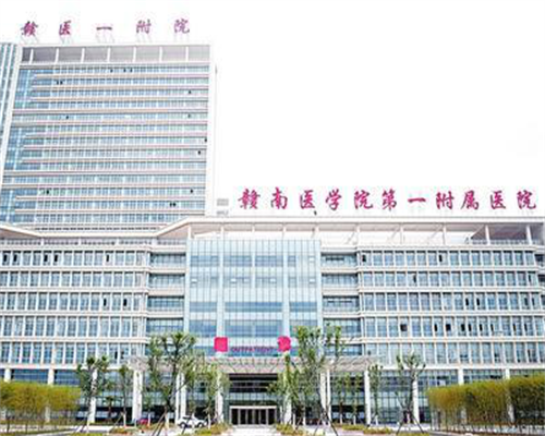 添宝儿微信(AA69代怀孕套餐),郑州综合大人医院三代试管婴儿费用郑州综合大人