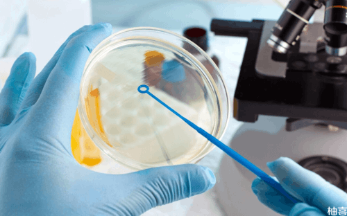 贵州不完全纵隔子宫做试管成功率高吗