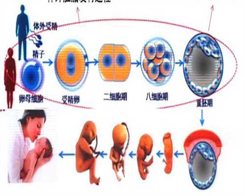 天越宾利售价(坤和哪里有代孕的人),做试管婴儿要不要准生证？