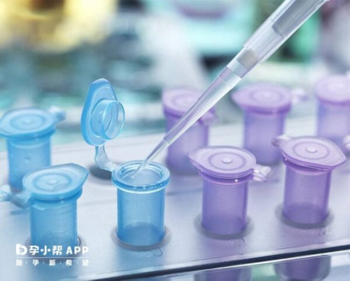 代孕儿子机构,哪种促排方案对卵巢伤害小  你适合哪种促排方案