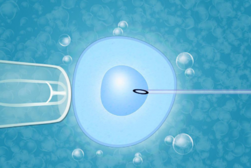 鄂州三代试管机构已公布，分别是哪家医院