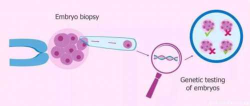二代代生儿子微信费用：代生儿子微信费用二代要多少钱