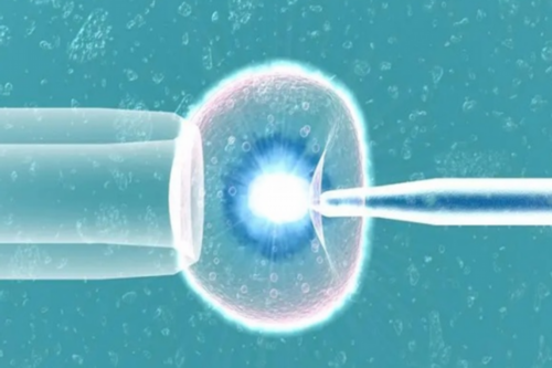 扬州卵巢早衰治疗医生