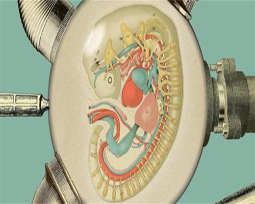 济南三甲江苏代怀代生机构医院排名,附助孕相关注意事项解读