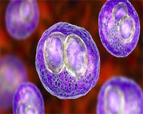 助孕包性别中介_神州中泰包生男孩,为什么月经推迟了五天却没有怀孕？