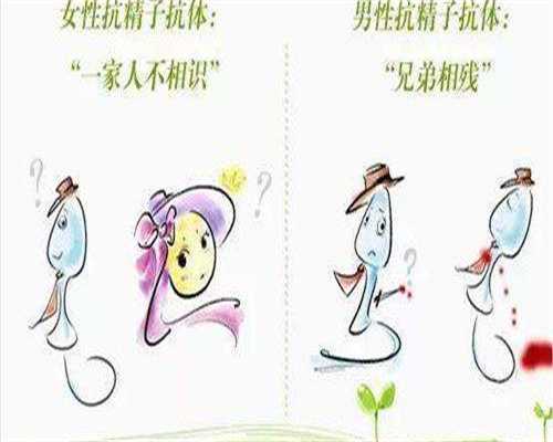 借卵包男孩机构,单角子宫做第三代试管能成功吗？知道的早不如知道的巧妙！
