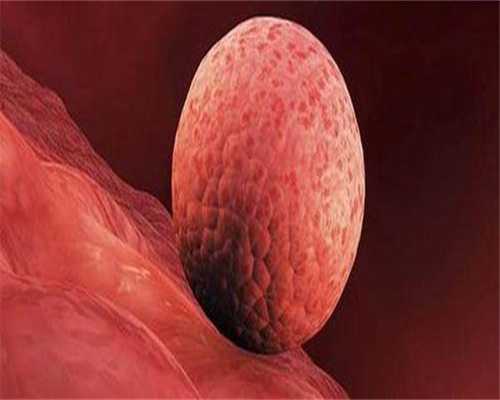 金贝助孕医院_世纪代妈招聘价格表,试管婴儿移植冷冻胚胎的好处有哪些？