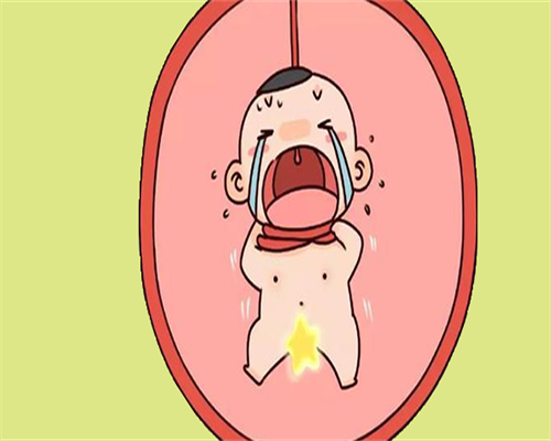 深圳单角子宫三代试管成功率,要做的好宝妈宝爸