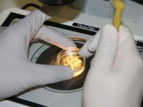 嘉兴能做三代试管的医院在哪里？再也不用被动选择中介机构