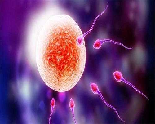 没得子宫可以做试管吗-没有子宫能不能做试管婴儿