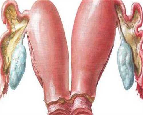 天使助孕网(代怀孕公司添一招聘),2026宿迁三代试管婴儿机构靠谱么？附三代试