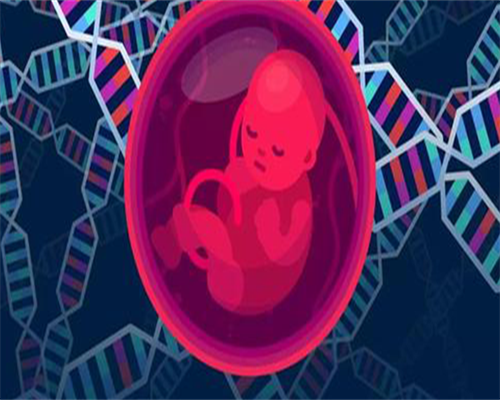 高鹰代孕报价_高鹰借卵代孕多少钱,淄博比较出名试管医院排名哪家比较好？让