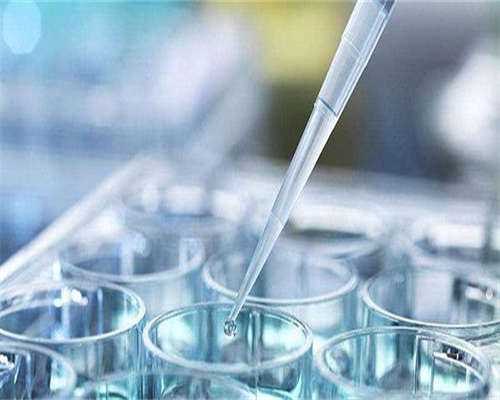 两边输卵管没有了能做试管婴儿吗：备孕可以喝奶粉吗