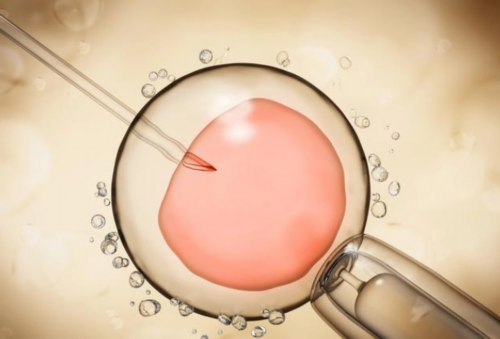 【了解一下】成都卵巢功能不好能做三代试管吗