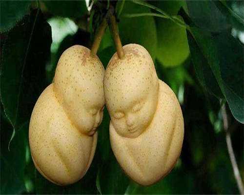 聚缘助孕收费_神州中泰找代孕电话,大同不需要结婚证三代试管婴儿哪家医院比