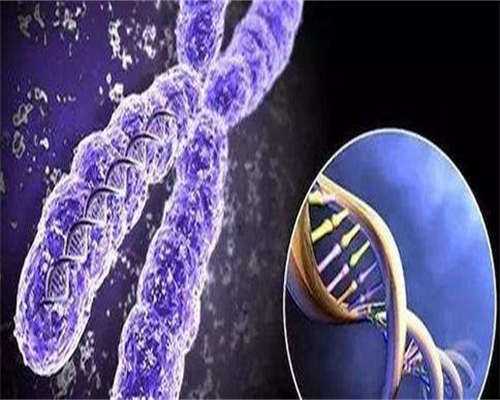 输卵管黏连做试管几率大嘛_输卵管粘连做试管