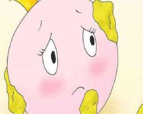 湛江三代哪有代生医院有哪些附2026哪有代生价格表参考