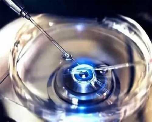 代生包男孩名字冻胚复苏养囊*率解析(一般*率在90%以上)