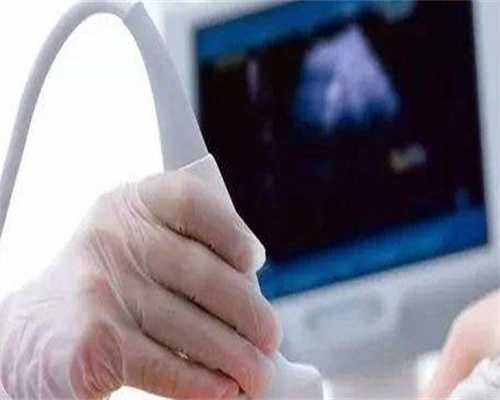 二代代生网哪家好智商「二代代生网哪家好智商怎样」