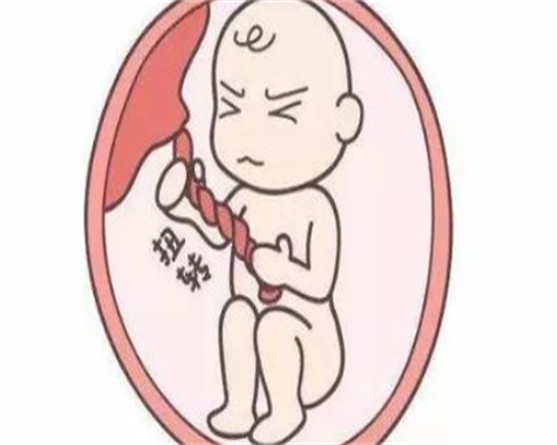 代孕网官网_试管代孕官方网,移植前检查发现类风湿因子40会影响胚胎着床吗？