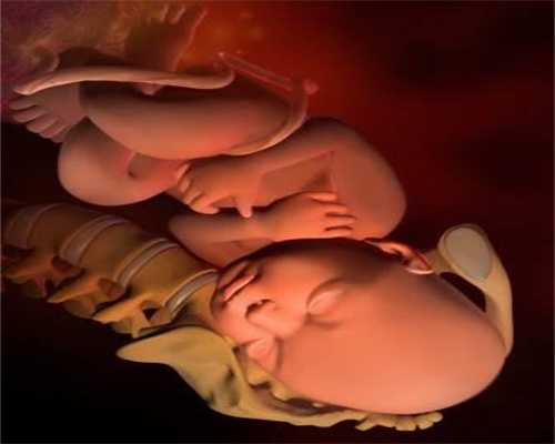 2026上海私立第三代找人代生医院排名如何，准备五万够吗？