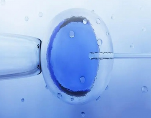 知名代生哪家好三代移植囊胚的成功-吕梁三代知名代生哪家好囊胚着床率