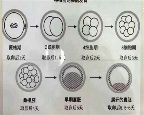 2026私立生殖代生公司医院排名？哪些医院比较好？