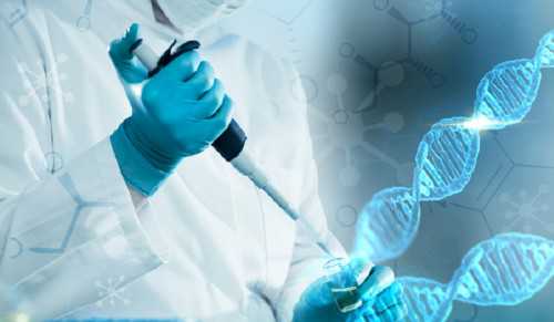 供卵助孕包男孩_助孕包男孩,染色体异常能正常怀孕吗做三代试管婴儿可以解决