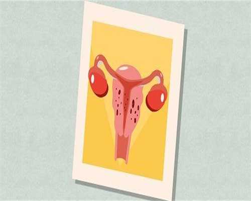 试管婴儿多少周才能做？试管婴儿多少周做四维？