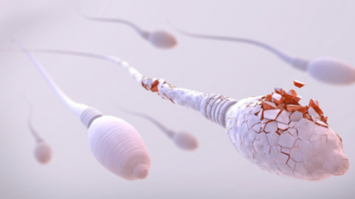 做试管后掉发很严重多久能恢复？做试管婴儿会掉很多头发吗？