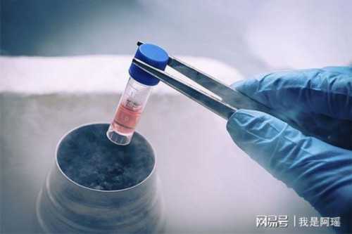 缘爱代怀_博爱国际助孕医院,人工授精之前怎么调理？人工授精前需要做什么？