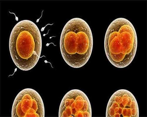 国内可以做试管的正规医院介绍