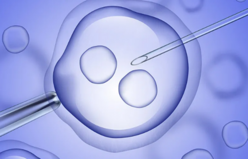 试管后可以做卵巢造影吗 女性试管后可以做卵巢造影吗